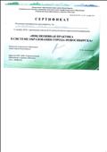 Сертификат участника II городской научно-практической конференции "Инклюзивная  практика в системе образования г.Новосибирска" 13.12.2018